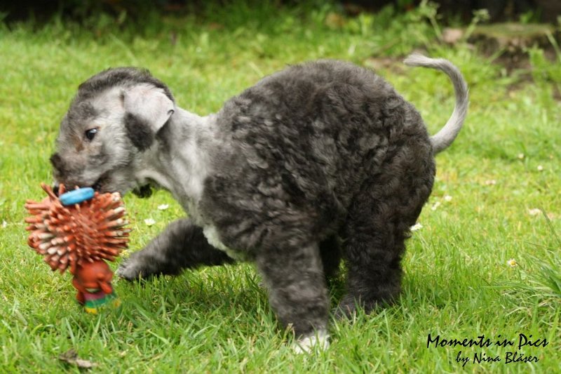 Antares 2009-07-12 (16).JPG